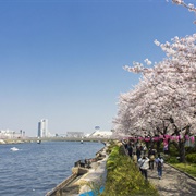 Sumida River, Tokyo