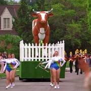 The Middle, "The 100th," S5, E4