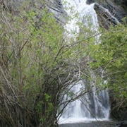 Falls Creek Falls