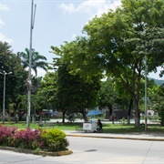 El Limón, Venezuela