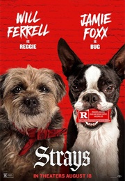 Strays (2023)