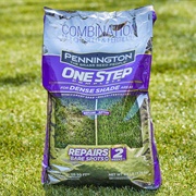 Grass Seed