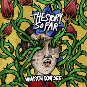What You Don&#39;t See (The Story So Far, 2013)