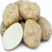 Kennebec Potato