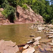 Olsen (Augusta-Anne) State Nature Preserve