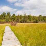 Irwin Prairie State Nature Preserve