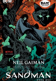 The Sandman: Book One (Neil Gaiman)
