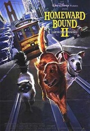 Homeward Bound 2: Lost in San Francisco (1996)