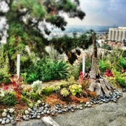 Miniature Garden of Whimsy