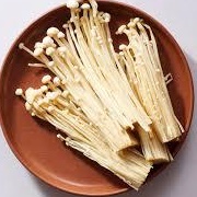 Flammulina Filiformis