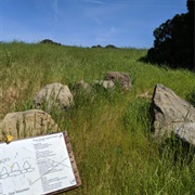 The Great Spirit Path