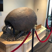 Joe Webb Peoples Museum