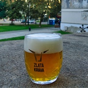 Pilsner in Pilsen, Czech Republic