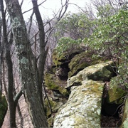 Shallenberger State Nature Preserve