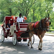 Horse Drawn Carriage