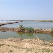 Hart-Miller Island State Park