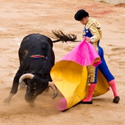 How Bullfighting Works