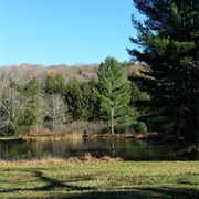 J.A. Minetto State Park