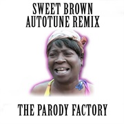 Ain't Nobody Got Time for That (Autotune Remix)
