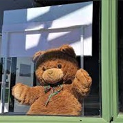 Teddy Bears in Windows