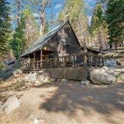 Sciots Camp, California