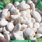 White Chuño