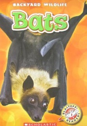 Bats (Kari Schuetz)