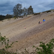 Rockford Sandpit, New Forest National Park, England