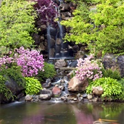 Anderson Japanese Gardens