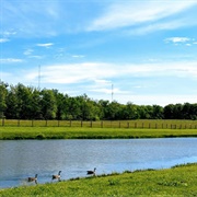 Possum Creek Metropark