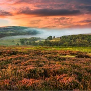 North York Moors, UK
