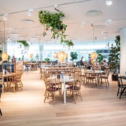 Aros Café & Orangeri