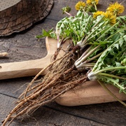 Dandelion Root