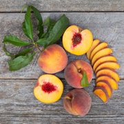 Peach in Persia (Latin)