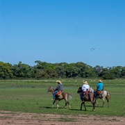Pantanal, Brazil