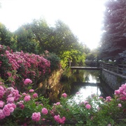 Central Park, Cluj-Napoca, Romania