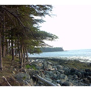 Warren Island State Park, Maine