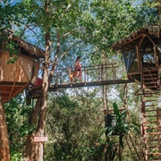 13. Sacred Geome Tree House