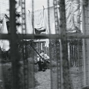 "Chaos and Creation in the Backyard" (2005) - Paul McCartney