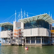 Artificial Lagoon by Lisbon Oceanarium, Lisbon