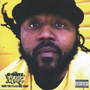 C-Rayz Walz - Who the Fuck Are You?