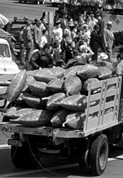 Invasion of the Body Snatchers (1956)