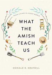 What the Amish Teach Us (Donald B. Kraybill)
