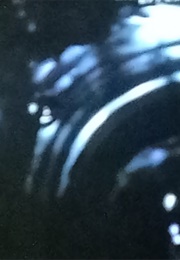 Olrgan (Japan) (1996)