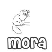 Mora