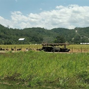 CYD - San Ignacio Belize Airstrip