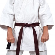 Become a Brown Belt in Karate