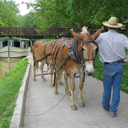 Providence Metropark