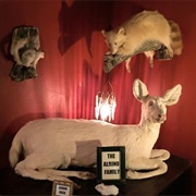 Maxwell Blade's Odditorium and Curiosities Museum (Permanently Closed)