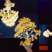 Active Child - Wake Me When It's Over / Untouch - Single